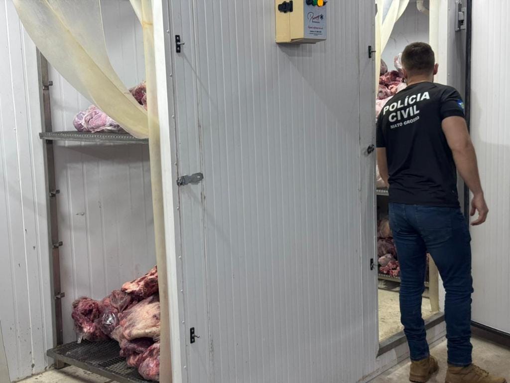 pc-intima-11-pessoas-que-furtaram-carga-apos-carreta-tombar-e-recupera-2-toneladas-de-carne