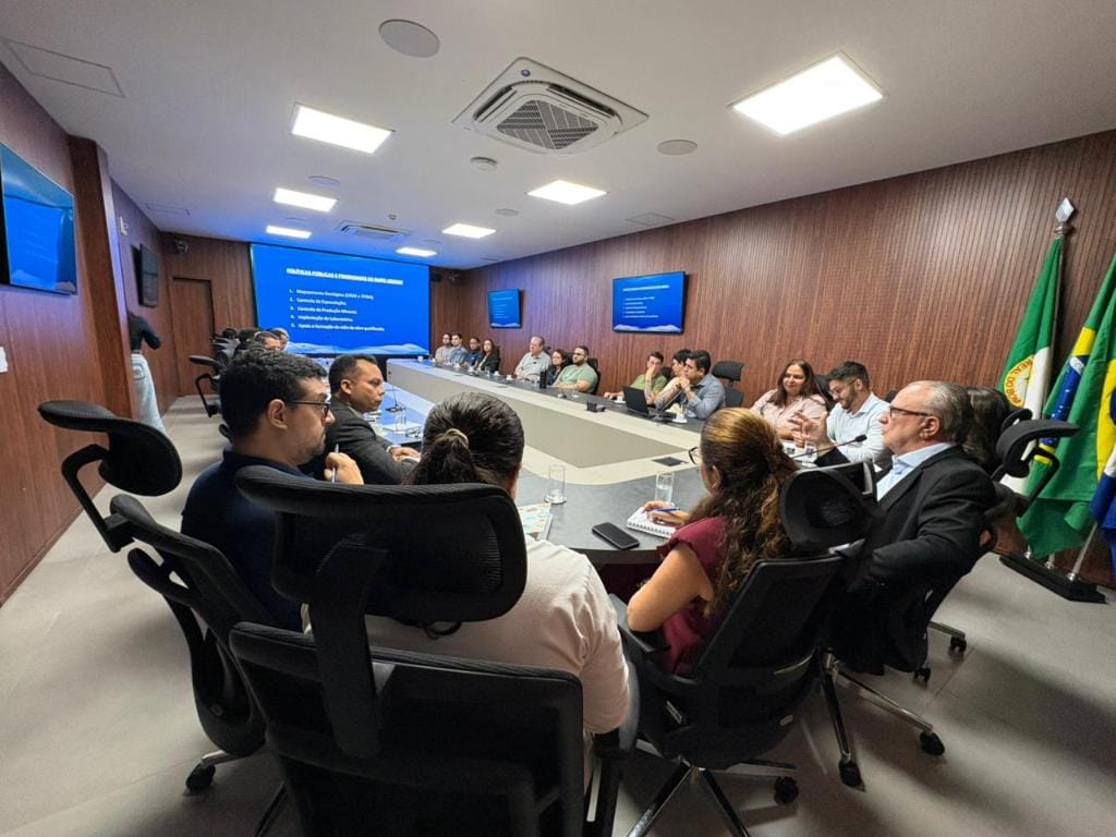 agencia-de-tocantins-busca-modelo-de-mato-grosso-para-organizar-setor-mineral