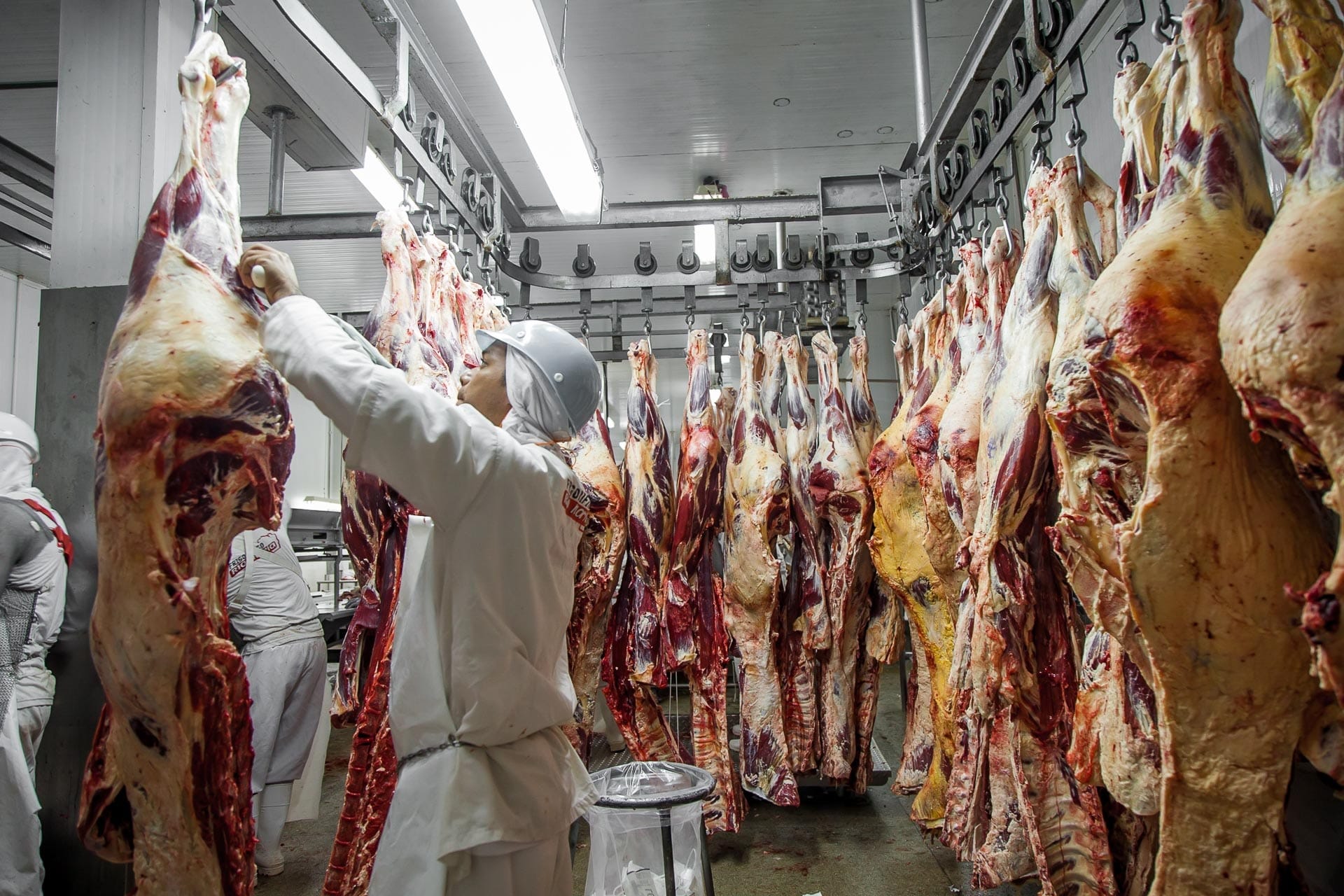 mpf-investiga-frigorificos-em-mt-por-suspeita-de-compra-de-gado-de-areas-embargadas