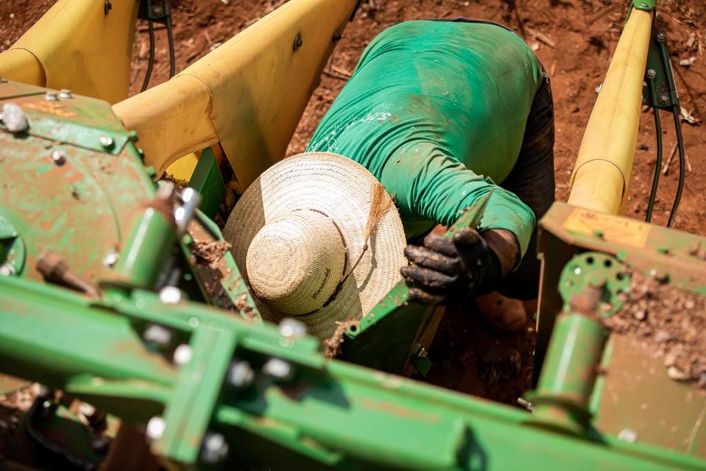 mt-abre-2026-com-saldo-de-18,7-mil-novos-empregos-com-carteira-assinada-em-janeiro;-agro-lidera