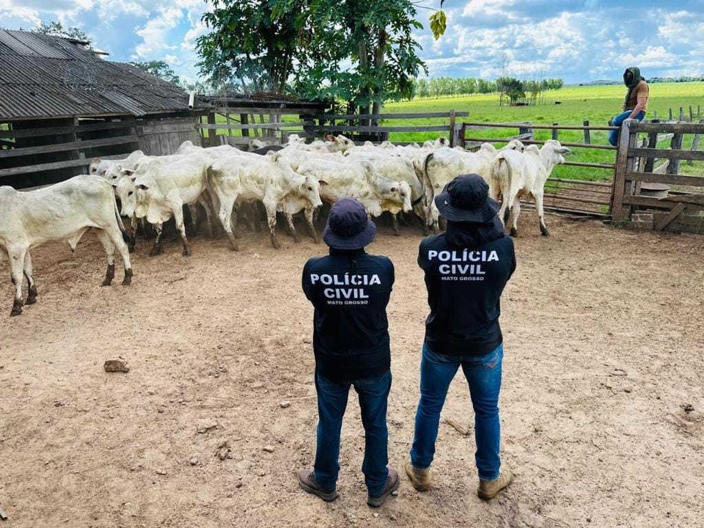 policia-civil-recupera-gado-furtado-e-evita-prejuizo-de-mais-r$-120-mil-a-pecuarista