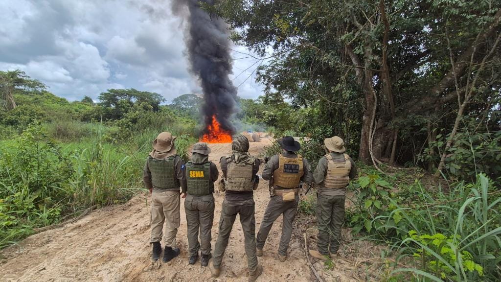 policia-civil-deflagra-operacao-logging-e-causa-prejuizo-de-r$-3,5-milhoes-ao-crime-ambiental