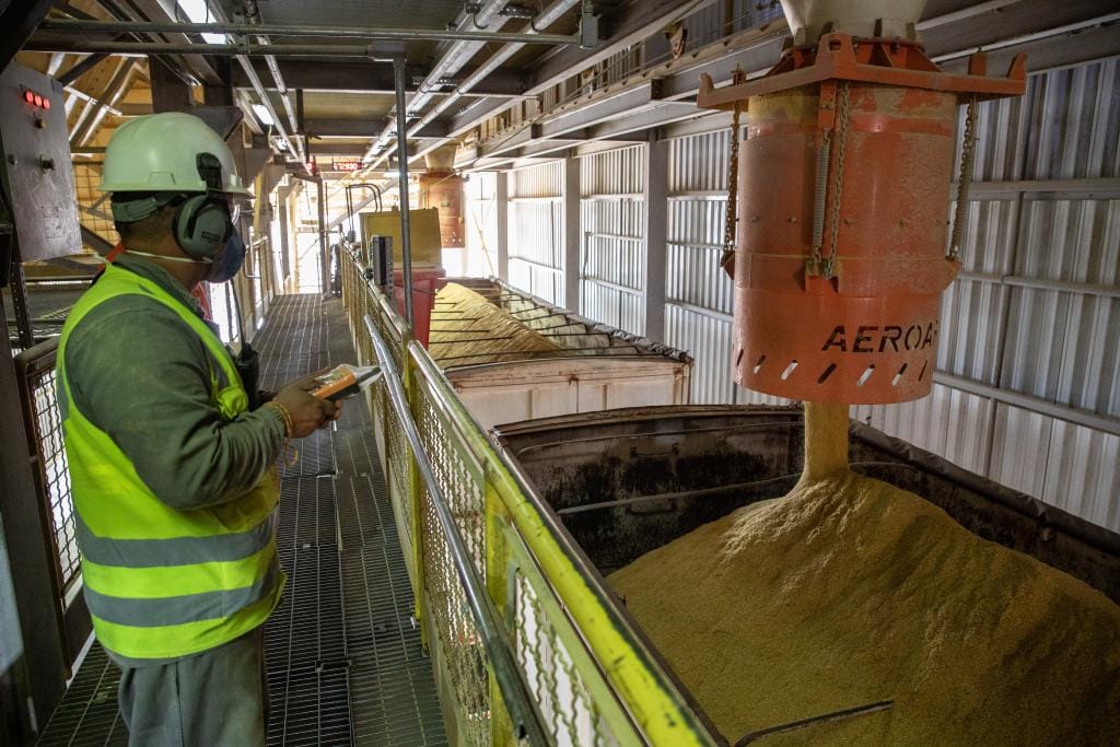 economia-de-mato-grosso-cresce-56%-e-supera-china-e-brasil-juntos-no-periodo-de-sete-anos