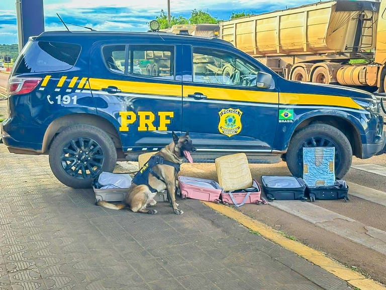 prf-prende-boliviano-e-outros-seis-traficantes-com-21-quilos-de-cocaina-na-rodovia-br-364