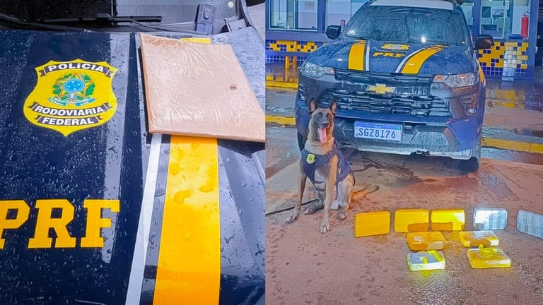 prf-prende-dois-traficantes-com-drogas-em-onibus-na-rodovia-br-364-em-mt
