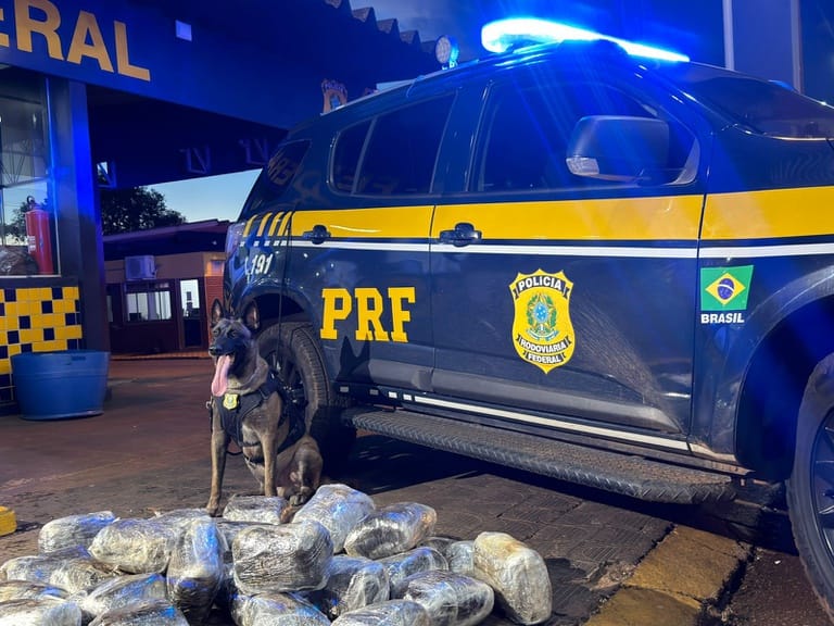 passageiro-e-preso-com-38-kg-de-supermaconha-em-onibus-na-rodovia-br-364-em-mt