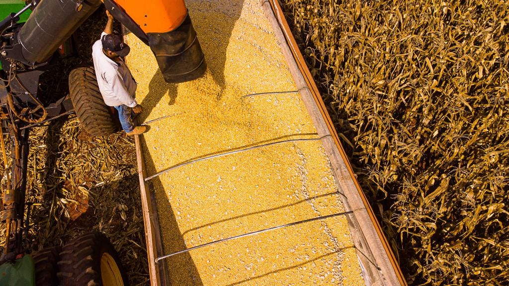 mato-grosso-lidera-producao-agropecuaria-do-pais-com-projecao-de-r$-206-bilhoes-em-2026