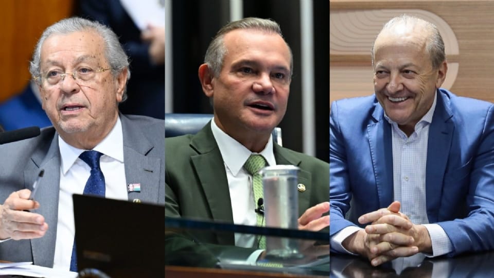 wellington-lidera-e-alcanca-29%;-jayme-se-consolida-na-2a-posicao-com-20,7%,-e-pivetta-crava-13,2%