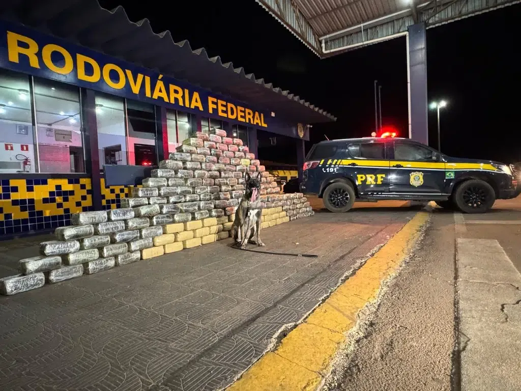 prf-apreende-mais-de-meia-tonelada-de-skunk-escondidos-em-fundo-falso-de-caminhao