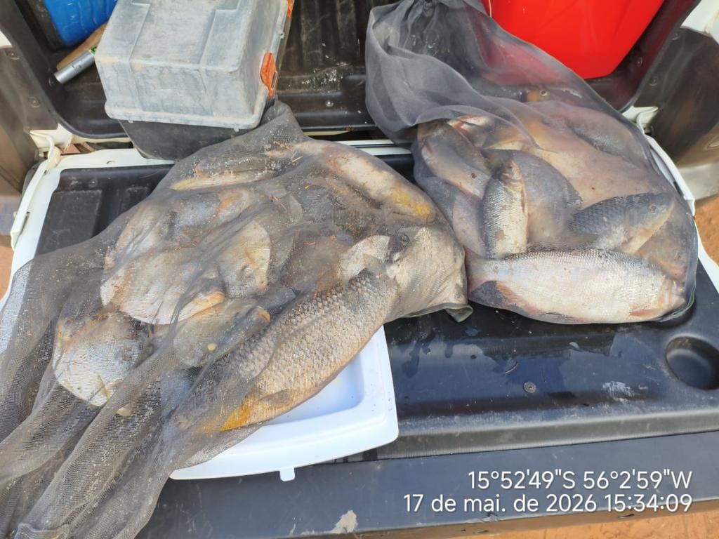 batalhao-ambiental-da-pm-prende-homem-com-pescado-ilegal-em-caminhonete