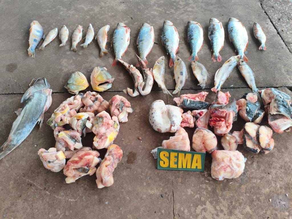 fiscalizacao-apreende-pescado-irregular-em-estabelecimento-as-margens-do-rio-cuiaba